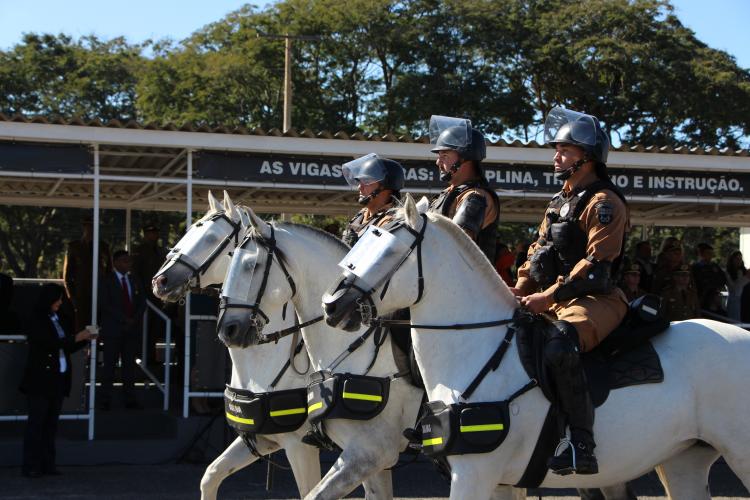 FOTO: SD. BERG / PMPR