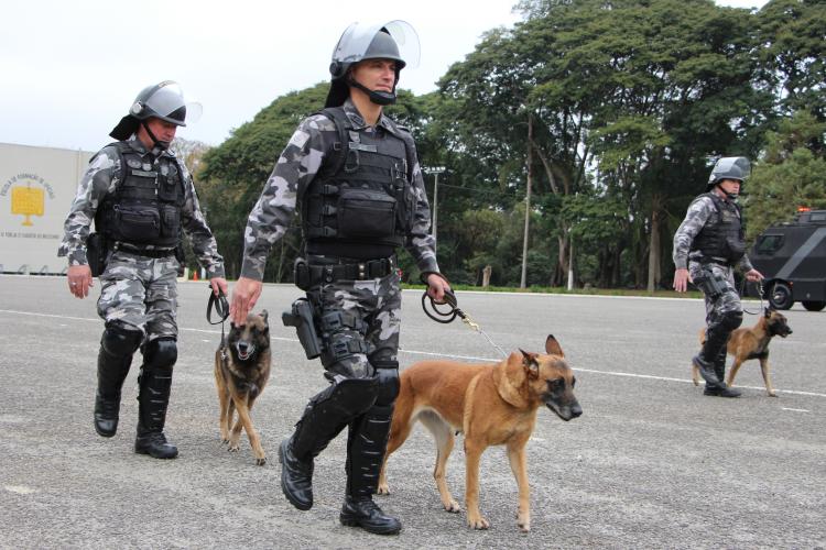 Fotos: Sd. Mauro Berg / PMPR