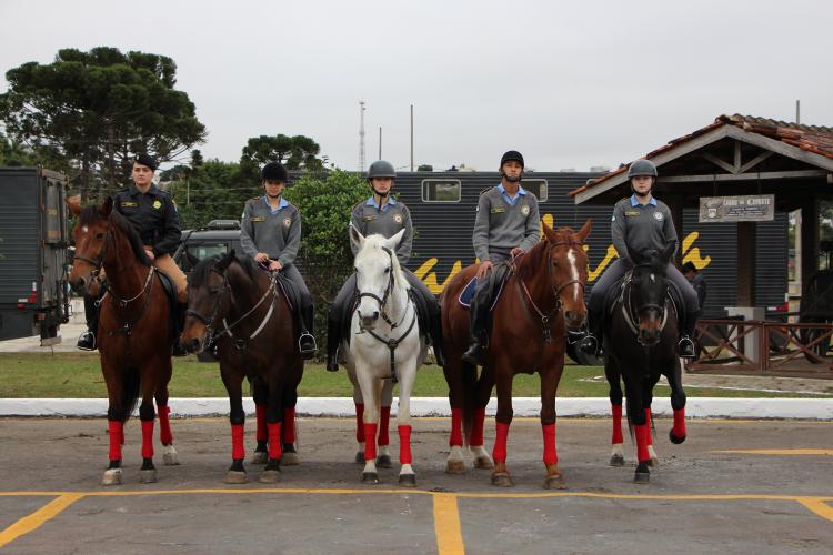 Foto: Sd. Mauro Berg / PMPR