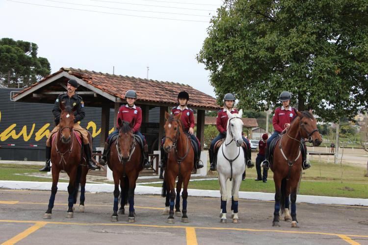 Foto: Sd. Mauro Berg / PMPR