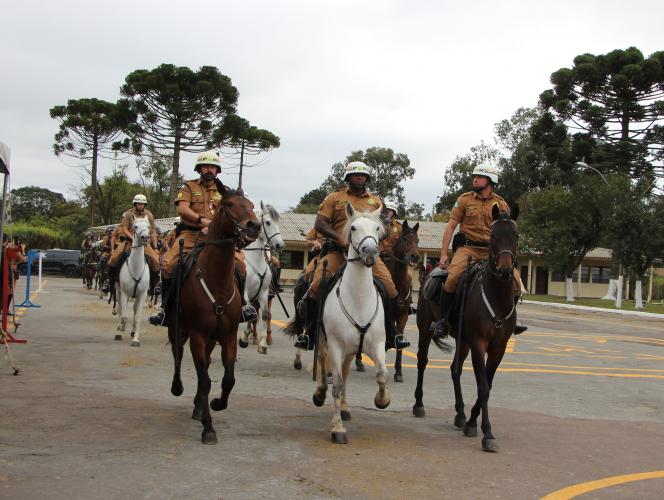 Foto: Sd. Mauro Berg / PMPR