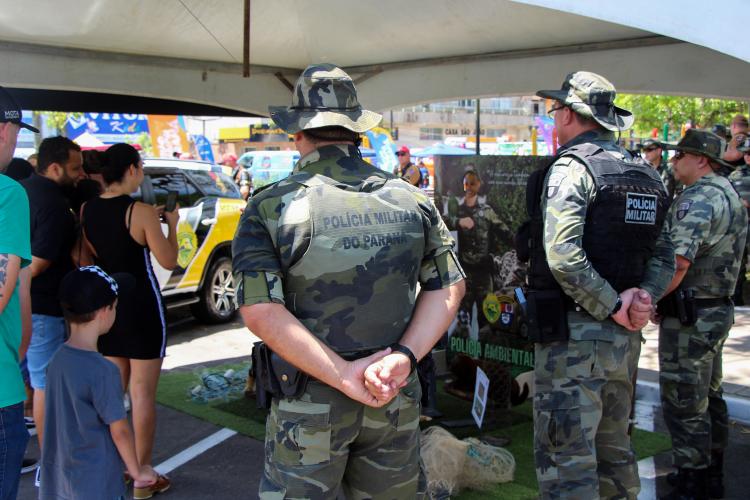 lançamento operação verão 23/24