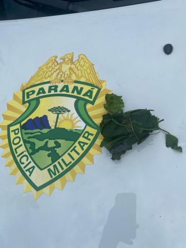 Ação Policial Reforça Compromisso com a Segurança na Região: Polícia Militar Prende Indivíduo por Tráfico de Drogas em Matinhos