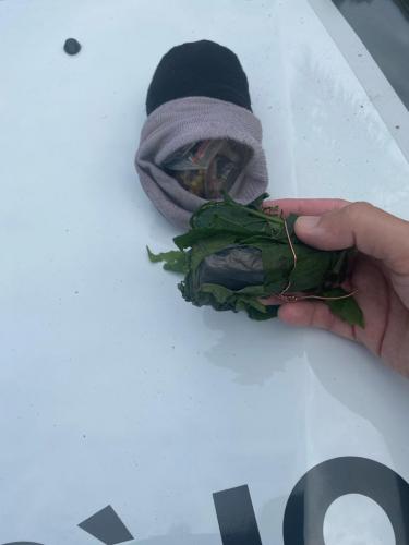 Ação Policial Reforça Compromisso com a Segurança na Região: Polícia Militar Prende Indivíduo por Tráfico de Drogas em Matinhos