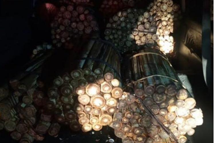 *PMPR Apreende Carga Clandestina De Palmito, em Morretes*