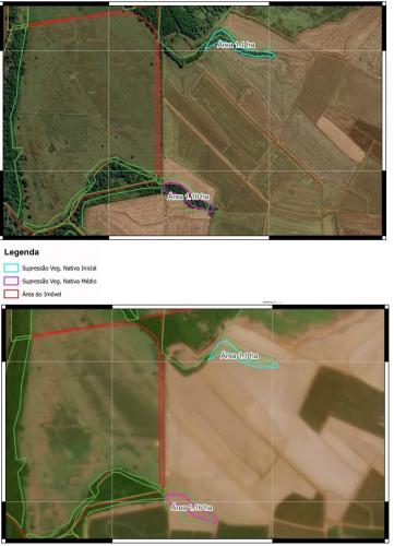 crime ambiental em Santa Mônica
