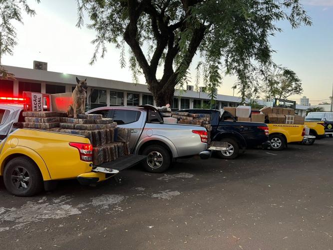 Apreensão de drogas em Maringá