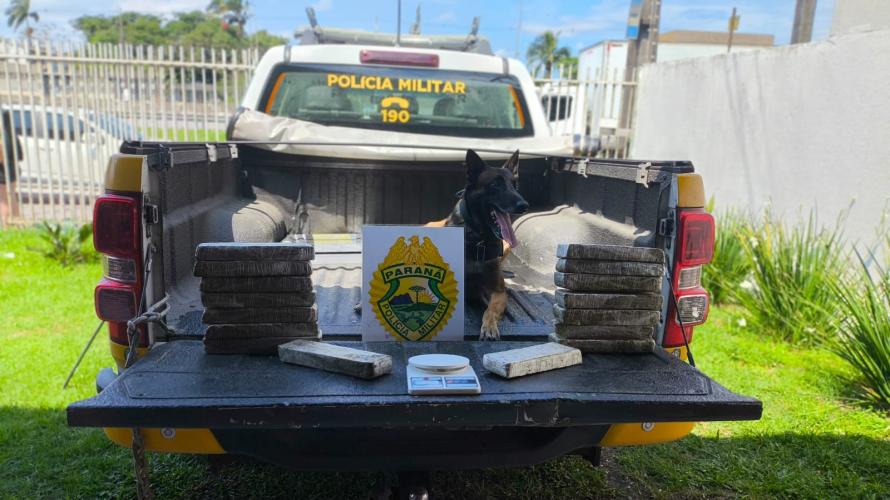 Com o apoio do BPRv e o uso de um cão farejador, a equipe policial localizou mais itens, totalizando 12 kg de maconha apreendidos