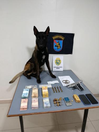 apreensão Guaratuba 12.01.2026