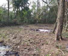 Operação em área de preservação ambiental permanente identifica mais de 150 moradias irregulares próximo ao Lago de Itaipu
