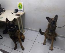 Em ações distintas, PM de Toledo (PR) prende dois homens e apreende caixas de cigarros e cocaína
