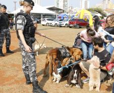 Equipe do Choque da PM de Ponta Grossa (PR) promove 1ª Cãominhada no Parque Ambiental