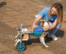 Equipe do Choque da PM de Ponta Grossa (PR) promove 1ª Cãominhada no Parque Ambiental