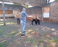 BPEC promove curso de capacitação para os policiais do Programa Escola Segura no Interior e na RMC