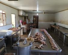 Polícia Militar fecha abatedouro clandestino em Quitandinha, no Sudeste do Paraná