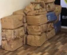 Mais de 300 quilos de maconha são apreendidos pelo BPFron no Oeste do estado