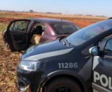 Mais de 300 quilos de maconha são apreendidos pelo BPFron no Oeste do estado