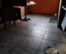 Movimentação constante em chácara gera denúncia e rapaz é preso em casa com mais de 700 pés de maconha em Tijucas do Sul (RMC)