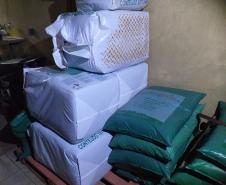 Mais de mil pés de maconha são apreendidos pela PM em Tijucas do Sul na RMC