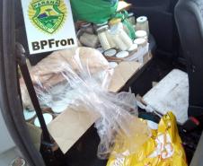 BPFron apreende frascos de palmito e animal silvestre abatido no Oeste do estado