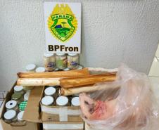 BPFron apreende frascos de palmito e animal silvestre abatido no Oeste do estado