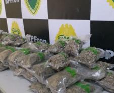 BPFron apreende quase 10 quilos de maconha em Guaíra (PR)