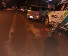 Polícia Ambiental flagra pesca irregular e encaminha quatro envolvidos à delegacia em Luiziana (PR), no Noroeste do estado