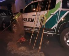 Polícia Ambiental flagra pesca irregular e encaminha quatro envolvidos à delegacia em Luiziana (PR), no Noroeste do estado