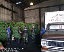 BPAmb-FV apreende mais de 25 toneladas de carvão vegetal no bairro Hauer, em Curitiba 