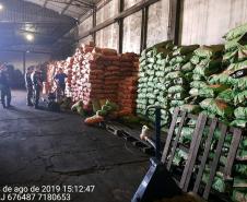 BPAmb-FV apreende mais de 25 toneladas de carvão vegetal no bairro Hauer, em Curitiba 