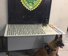 Mais de 300 poções de drogas e uma pistola são apreendidas pela RONE em Curitiba