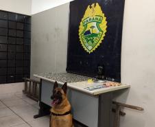 Mais de 300 poções de drogas e uma pistola são apreendidas pela RONE em Curitiba