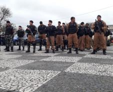 Operação União é desencadeada na Região Metropolita de Curitiba (RMC) e resulta na abordagem de mais de 300 pessoas e 120 veículos 