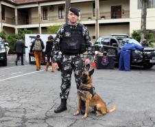 Governador autoriza concurso de 2,4 mil vagas para a Polícia Militar durante solenidade em Curitiba