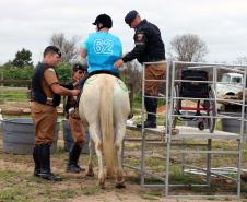 Regimento de Polícia Montada (RPMon) sedia o 2º Campeonato Paranaense de Paraenduro, no Haras da PM em Pinhais