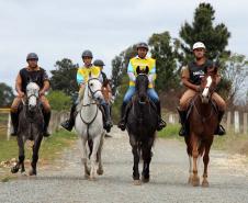 Regimento de Polícia Montada (RPMon) sedia o 2º Campeonato Paranaense de Paraenduro, no Haras da PM em Pinhais