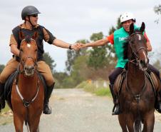 Regimento de Polícia Montada (RPMon) sedia o 2º Campeonato Paranaense de Paraenduro, no Haras da PM em Pinhais