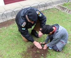 Comandante-Geral planta árvore em escola Estadual de Curitiba (PR) em prol do Projeto Paraná Mais Verde