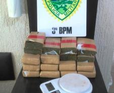 PM apreende mais de 10 quilos de maconha e 11 pés da mesma substância, no Sudoeste do estado  COM FOTO