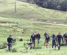 Policiais militares cinotécnicos do Paraná concluem o 1º Curso de Busca e Captura com Cães em Santa Catarina