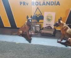 Mulher é presa pela Polícia Rodoviária Estadual (PRE) transportando mais de nove quilos de maconha e um revólver em Rolândia (PR)