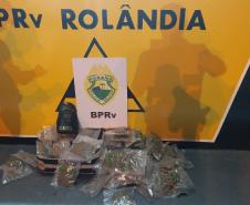 Com apoio do cão de faro Hórus, BPRv prende rapaz e apreende mais de 7,5 quilos de maconha em Rolândia (PR)