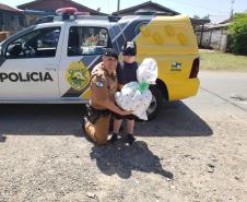 PM visita bairros de Curitiba para a entrega de mais de 500 brinquedos em comemoração ao Dia das Crianças 