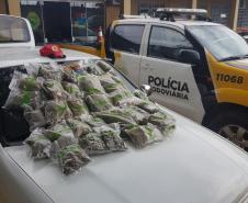 BPRv apreende 14,2 quilos de maconha na PR 180, em Cascavel