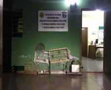 Durante Operação Ezer II, Polícia Ambiental apreende nove pássaros silvestres