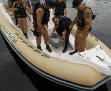 Equipe da PM resgata tartaruga marinha ameaçada de extinção em Paranaguá (PR)