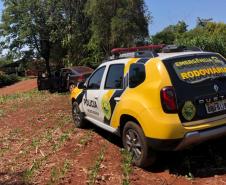 BPRv apreende quase meia tonelada de maconha durante patrulhamento na PR 364, em Palotina (PR)