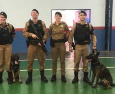 Durante formatura do PROERD, Canil do 19º Batalhão faz apresentação com os cães da corporação em Palotina (PR)