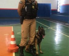 Durante formatura do PROERD, Canil do 19º Batalhão faz apresentação com os cães da corporação em Palotina (PR)