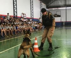 Durante formatura do PROERD, Canil do 19º Batalhão faz apresentação com os cães da corporação em Palotina (PR)